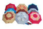 rain umbrella