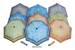 rain umbrella